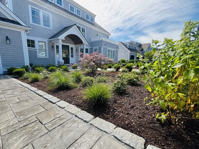 Planting design and installation